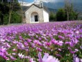 /album/greek-beauty-%ce%b5%ce%bb%ce%bb%ce%b7%ce%bd%ce%b9%ce%ba%ce%ad%cf%82-%ce%bf%ce%bc%ce%bf%cf%81%cf%86%ce%b9%ce%ad%cf%82/a395715-290447687670986-982585217-n-jpg/